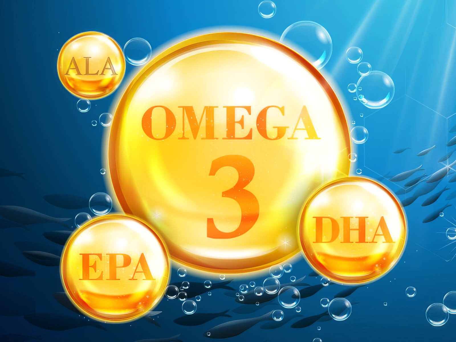 трите типа омега 3 - EPA, DHA, ALA